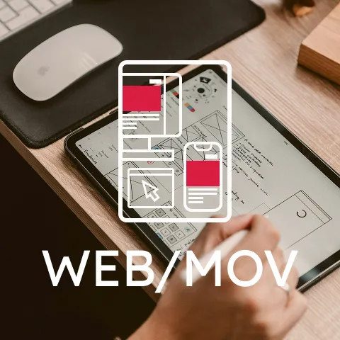 サイト/動画制作
