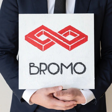 株式会社BROMO ロゴ エンドレスノット